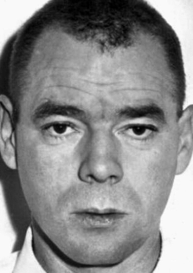 фото Доминик Зарди