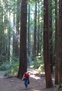 фото Роланд Тек