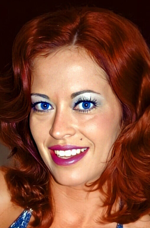 фото Донита