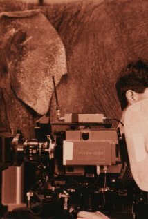 фото Дэвид Шамидис