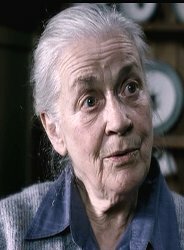 фото Гленис Левестам