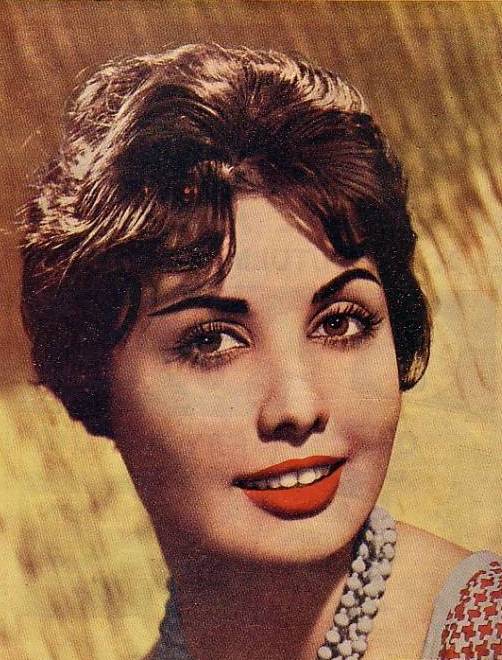 фото Серпил Гюль