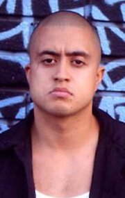 фото Джоэль Роман