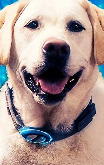 фото Паркер