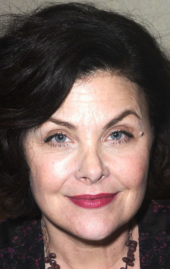 фото Шерилин Фенн