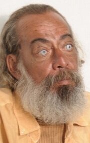 фото Фернандо Фулько