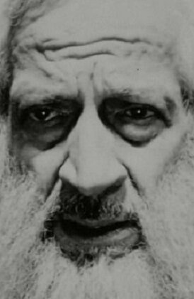 фото Стивен Перлман