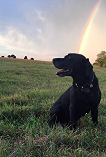 фото Дэниэл Шеперд