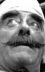 фото Марк Малхолланд