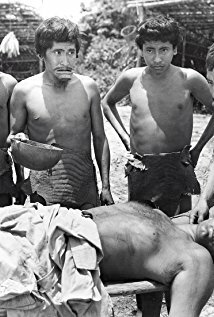 фото Zygmunt Sulistrowski