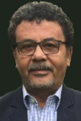 фото Амр Арафа