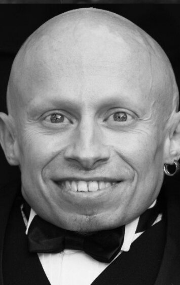 фото Верн Тройер