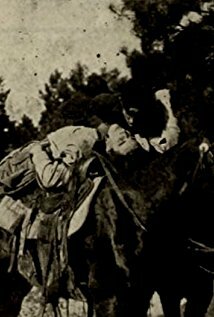 фото Робин Эдейр