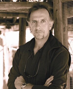 фото Ян Сарди