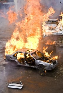 фото Робин Холдер