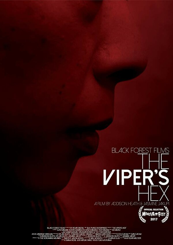 Постер The Viper's Hex