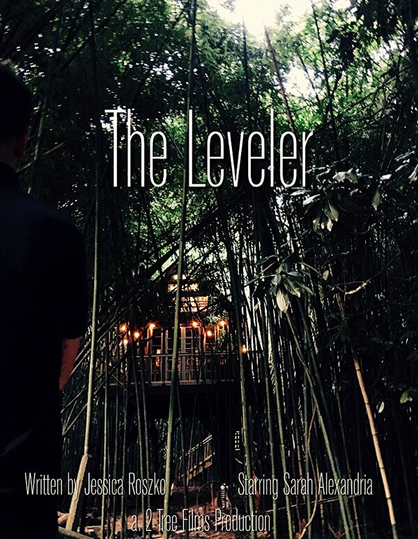 Постер The Leveler