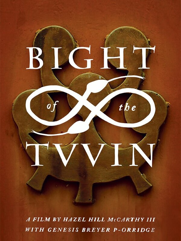 Постер Bight of the Twin