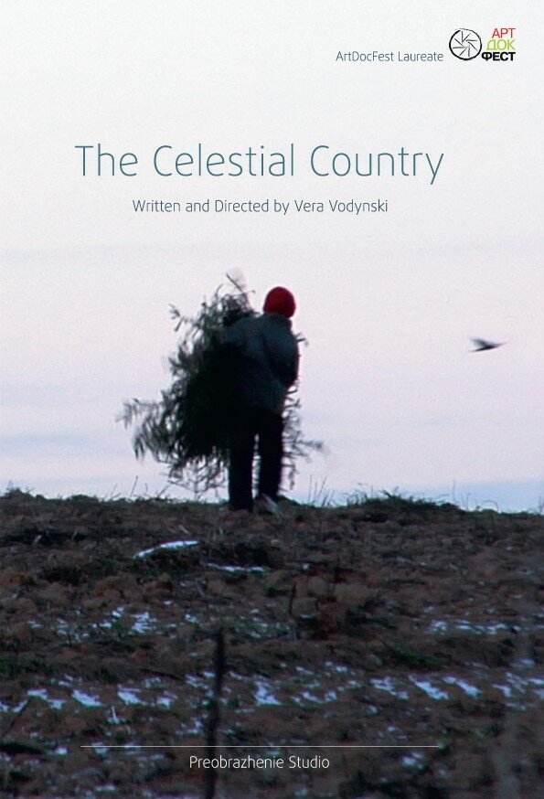 Постер Поднебесье