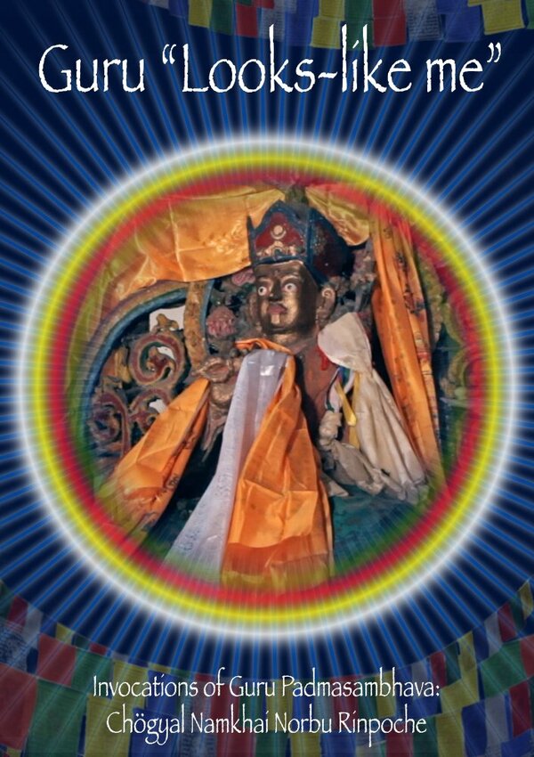 Постер Гуру «Похожий на меня»