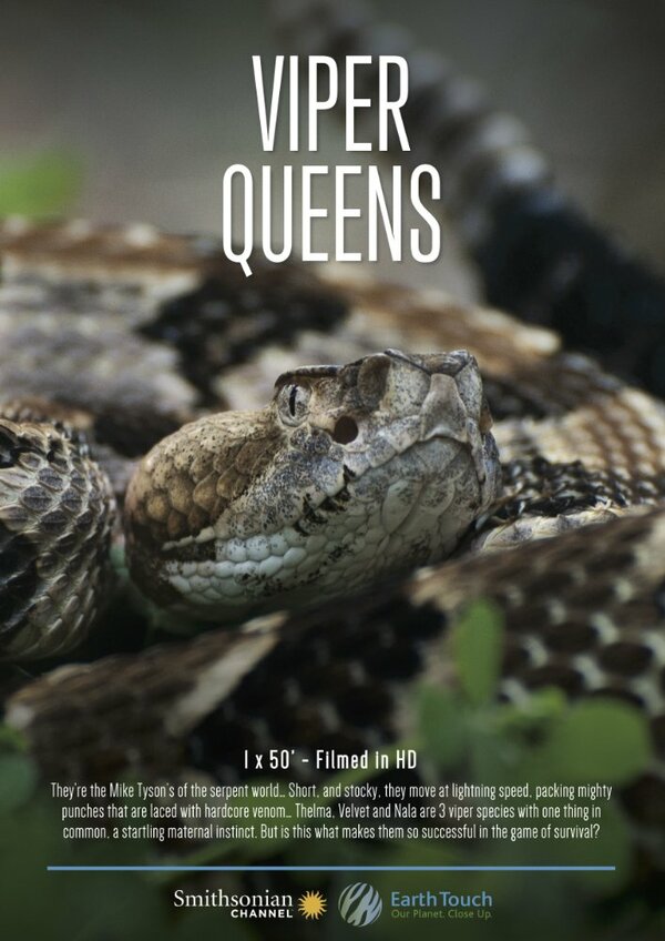 Постер Королевы гадюк