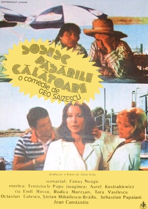 Постер Летят перелетные птицы