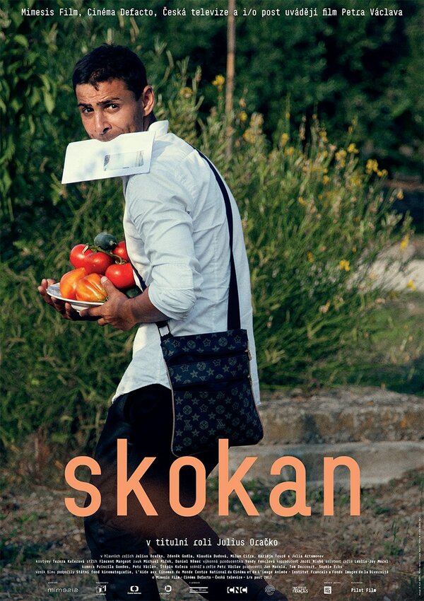 Постер Skokan