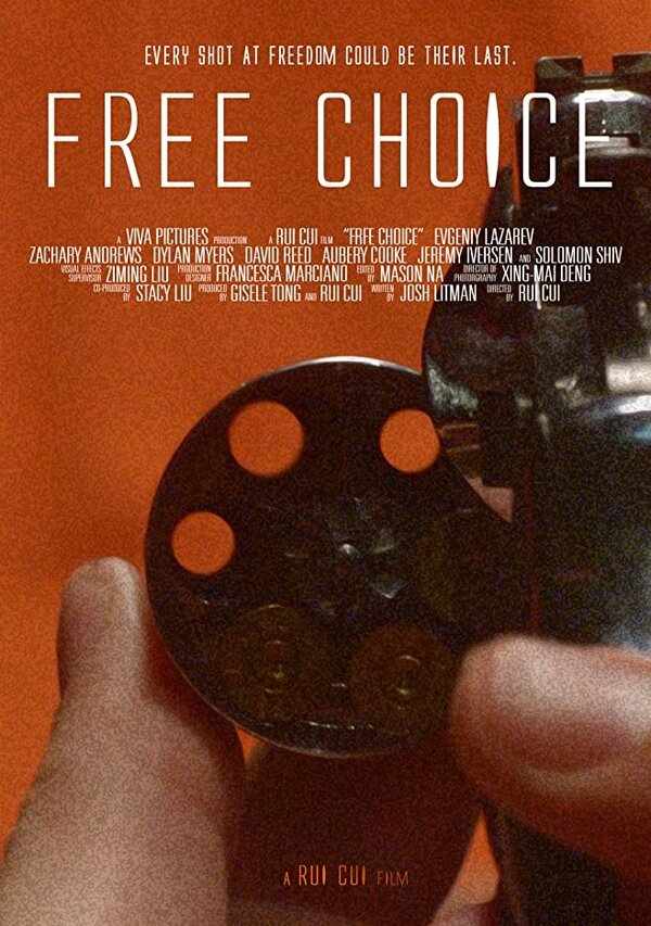 Постер Free Choice