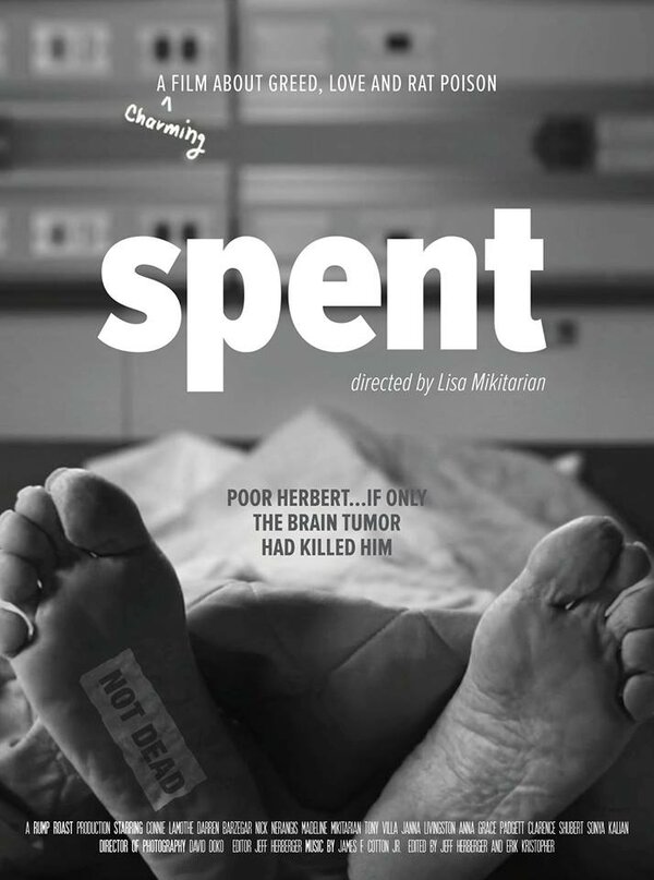 Постер Spent