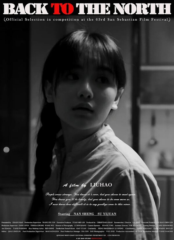 Постер Назад на север