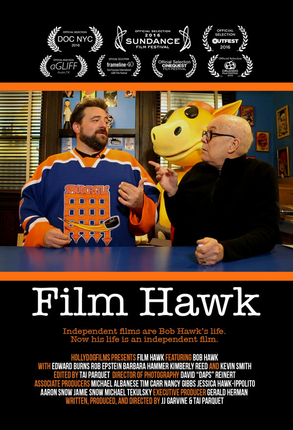 Постер Film Hawk