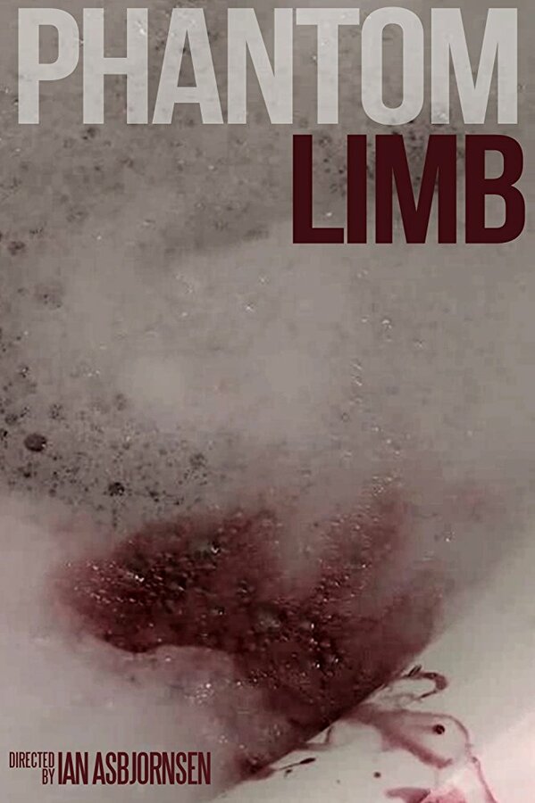 Постер Phantom Limb