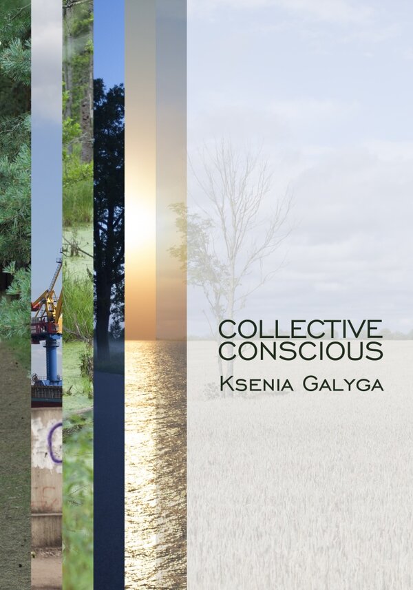 Постер Коллективное сознательное