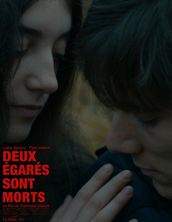 Постер Умерли двое потерянных