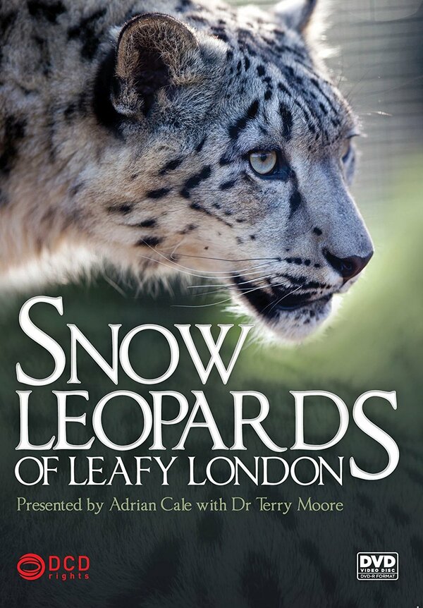 Постер Snow Leopards of Leafy London