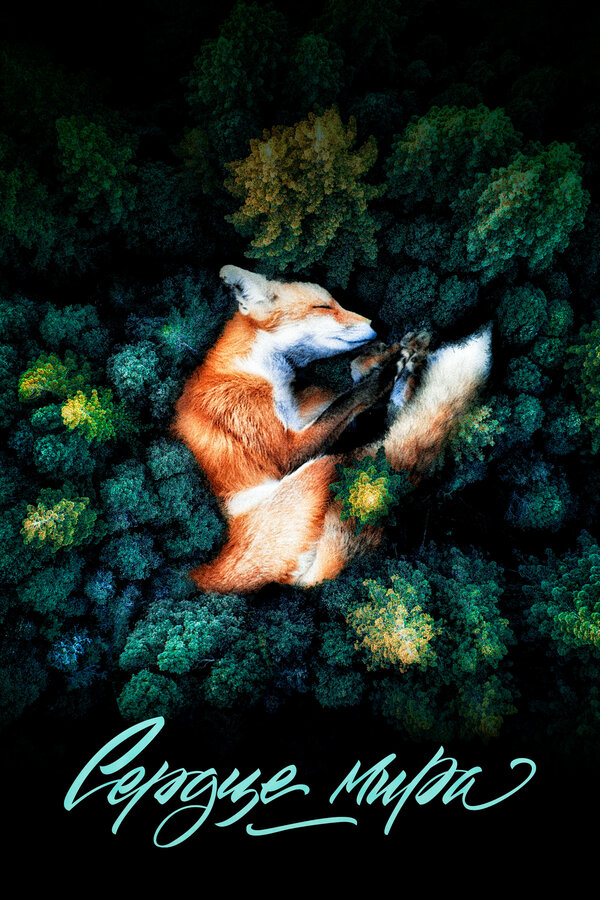 Постер Сердце мира