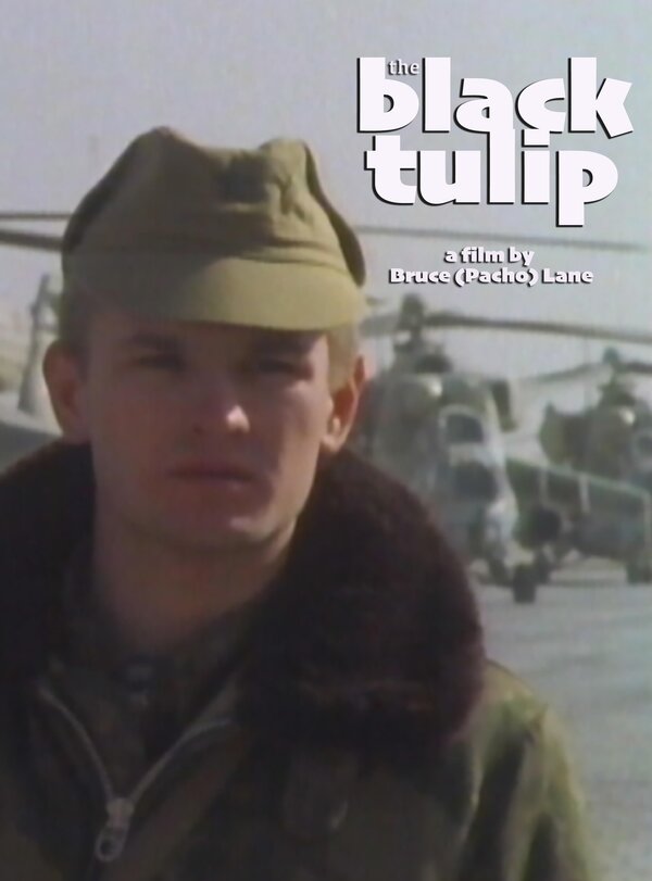 Постер The Black Tulip