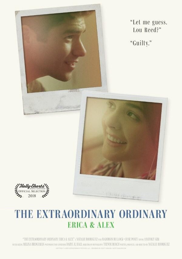 Постер The Extraordinary Ordinary: Erica & Alex