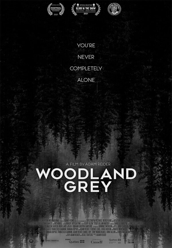 Постер Woodland Grey
