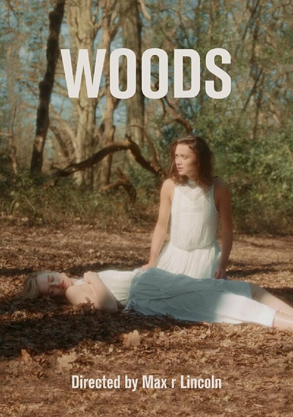 Постер Woods