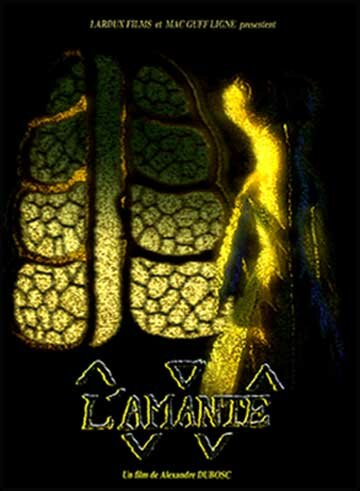 Постер Любовница