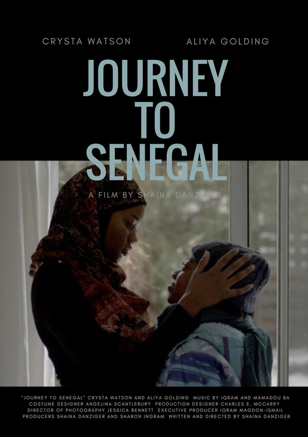 Постер Journey to Senegal