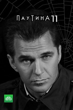Постер Паутина 11