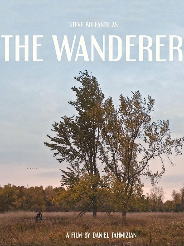 Постер The Wanderer
