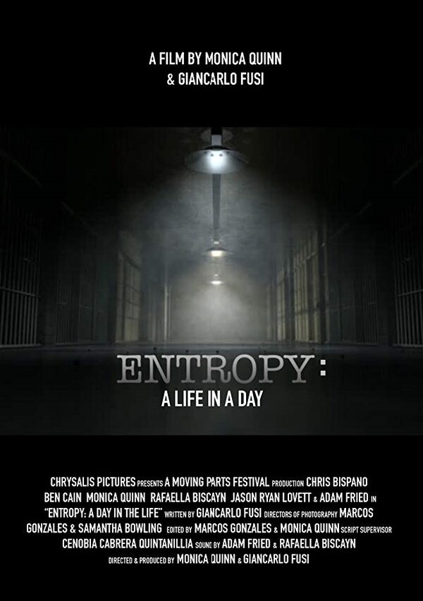 Постер Entropy: A Day in a Life