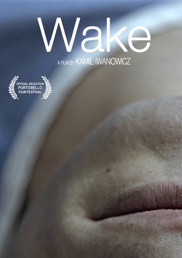 Постер Wake