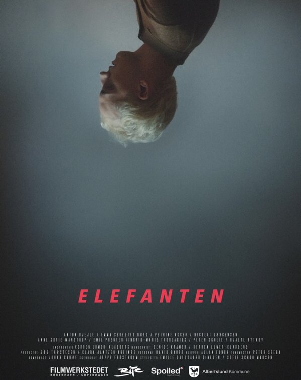 Постер Elefanten