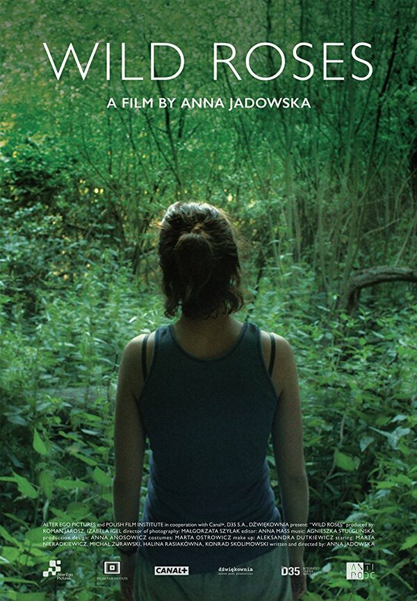 Постер Дикие розы