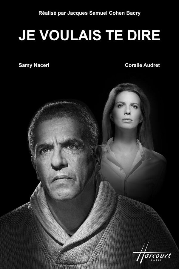 Постер Je voulais te dire