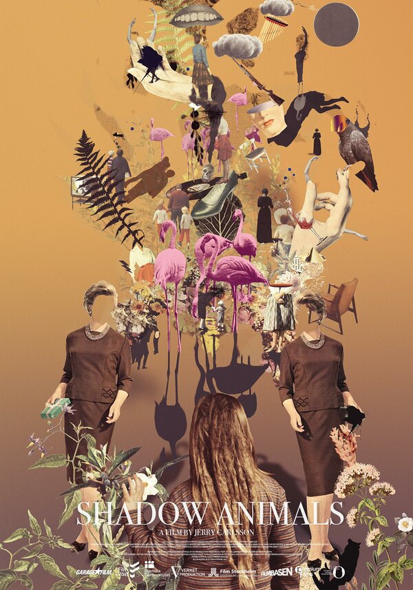 Постер Игра теней